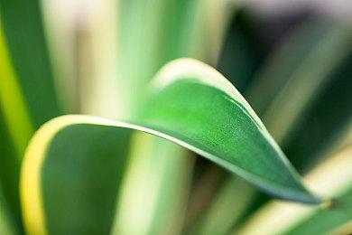 深入卡鲁斯的心灵深处！探索《命运2》宿怨赛季新地牢